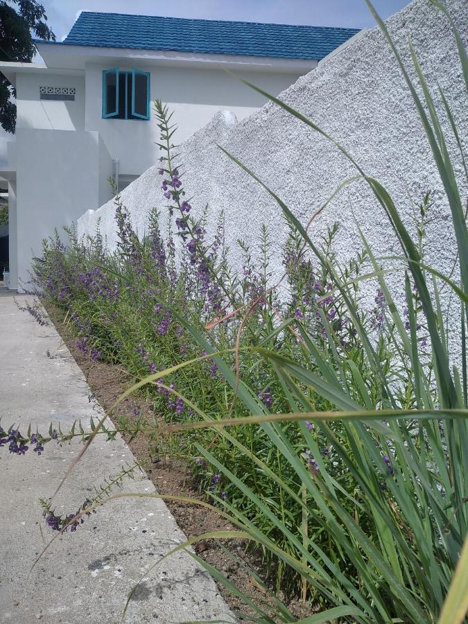 Anjo Maumere Hotel & Restaurant Exterior photo